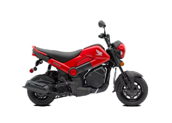 Model Image